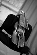 Unikátny švédsky nástroj Nyckelharpa (copyright damian macho 2012)